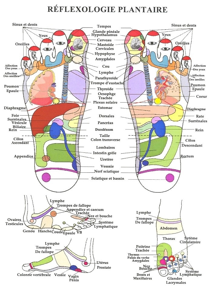 shema pieds